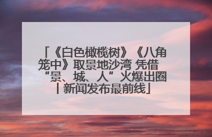 《白色橄榄树》《八角笼中》取景地沙湾 凭借“景、城、人”火爆出圈丨新闻发布最前线