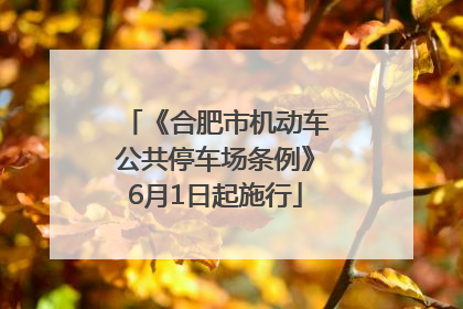 《合肥市机动车公共停车场条例》6月1日起施行