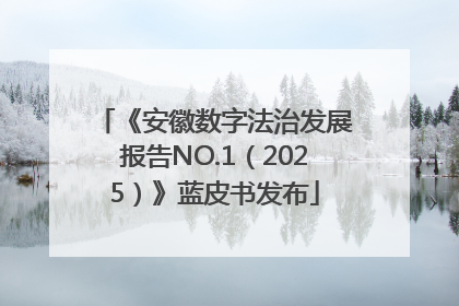 《安徽数字法治发展报告NO.1（2025）》蓝皮书发布