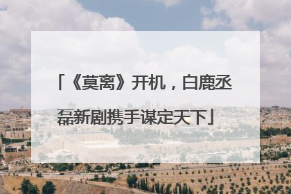 《莫离》开机，白鹿丞磊新剧携手谋定天下