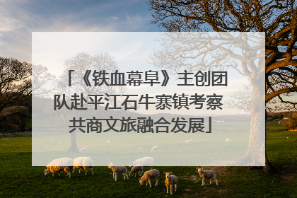 《铁血幕阜》主创团队赴平江石牛寨镇考察 共商文旅融合发展