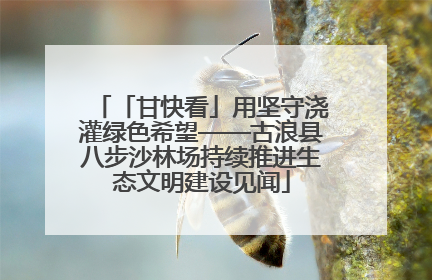 「甘快看」用坚守浇灌绿色希望——古浪县八步沙林场持续推进生态文明建设见闻