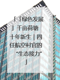 「绿色发展」千亩荷塘 十年新生｜四任航空村官的“生态接力”