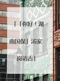 「你好！湖南国保」汤家岗访古