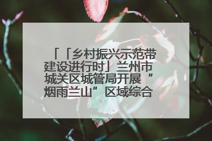 「乡村振兴示范带建设进行时」兰州市城关区城管局开展“烟雨兰山”区域综合整治专项行动