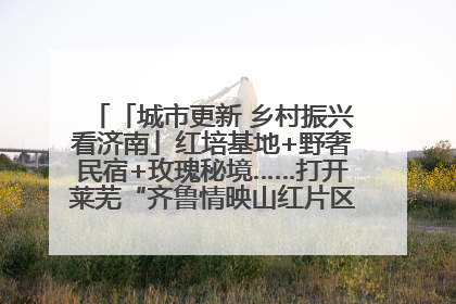 「城市更新 乡村振兴看济南」红培基地+野奢民宿+玫瑰秘境……打开莱芜“齐鲁情映山红片区”的破圈秘籍