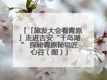 「旅发大会看青原」走进吉安“千岛湖” 探秘青原秘境匠心谷（图）