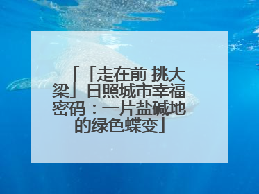 「走在前 挑大梁」日照城市幸福密码：一片盐碱地的绿色蝶变