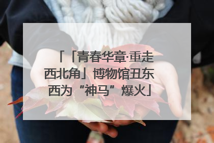 「青春华章·重走西北角」博物馆丑东西为“神马”爆火