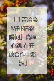 「青洽会特刊·精彩瞬间」高原心跳 在开放合作中澎湃