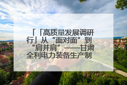 「高质量发展调研行」从“面对面”到“肩并肩”——甘肃全利电力装备生产制造项目一线见闻