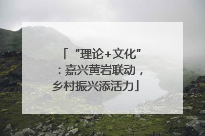 “理论+文化”：嘉兴黄岩联动，乡村振兴添活力