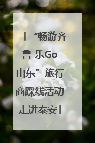 “畅游齐鲁 乐Go山东”旅行商踩线活动走进泰安