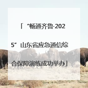 “畅通齐鲁·2025”山东省应急通信综合保障演练成功举办