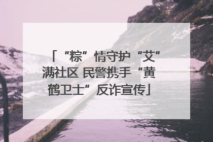 “粽”情守护“艾”满社区 民警携手“黄鹤卫士”反诈宣传