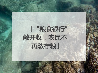 “粮食银行”敞开收，农民不再愁存粮