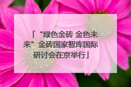 “绿色金砖 金色未来”金砖国家智库国际研讨会在京举行