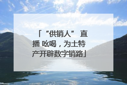“供销人” 直播 吆喝，为土特产开辟数字销路