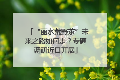 “丽水荒野茶”未来之路如何走？专题调研近日开展