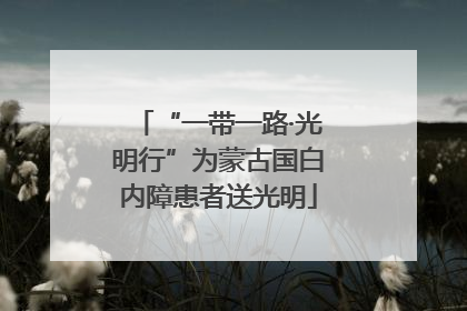 “一带一路·光明行”为蒙古国白内障患者送光明
