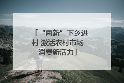 “两新”下乡进村 激活农村市场消费新活力