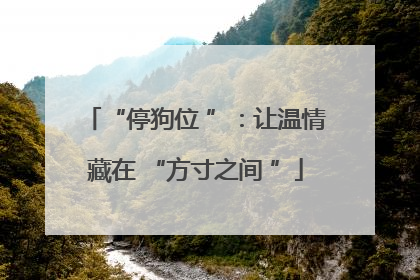 “停狗位 ”：让温情藏在 “方寸之间 ”