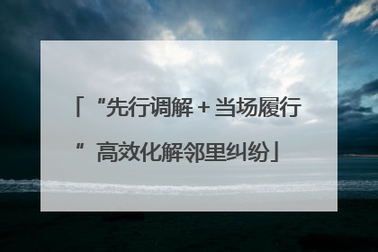“先行调解＋当场履行”高效化解邻里纠纷