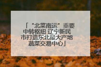“北菜南运”重要中转枢纽 辽宁新民市打造东北最大产地蔬菜交易中心