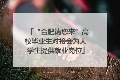 “合肥请您来”高校毕业生对接会为大学生提供就业岗位