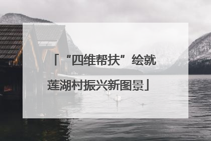 “四维帮扶”绘就莲湖村振兴新图景