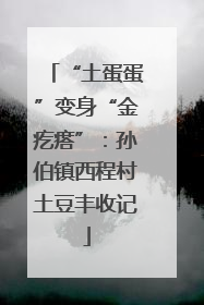 “土蛋蛋”变身“金疙瘩”：孙伯镇西程村土豆丰收记