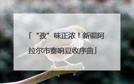 “孜”味正浓！新疆阿拉尔市奏响夏收序曲