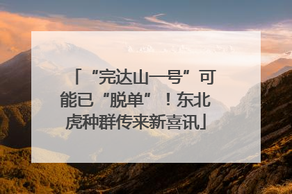 “完达山一号”可能已“脱单”！东北虎种群传来新喜讯