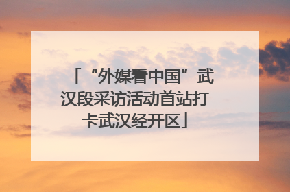 “外媒看中国”武汉段采访活动首站打卡武汉经开区