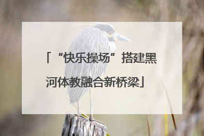 “快乐操场”搭建黑河体教融合新桥梁