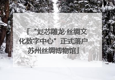 “彣芯雕龙·丝绸文化数字中心”正式落户苏州丝绸博物馆