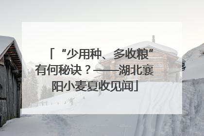 “少用种、多收粮”有何秘诀？——湖北襄阳小麦夏收见闻