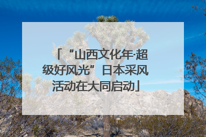 “山西文化年·超级好风光”日本采风活动在大同启动