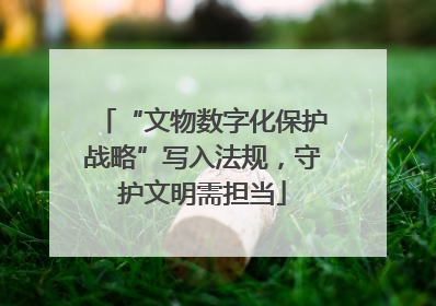 “文物数字化保护战略”写入法规，守护文明需担当