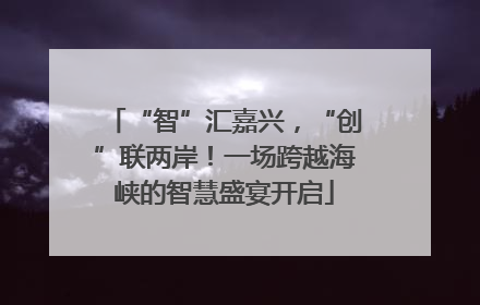 “智”汇嘉兴，“创”联两岸！一场跨越海峡的智慧盛宴开启