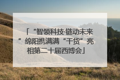 “智领科技·链动未来”绵阳携满满“干货”亮相第二十届西博会