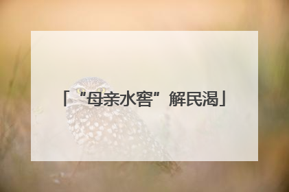“母亲水窖”解民渴
