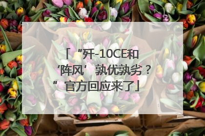 “歼-10CE和‘阵风’孰优孰劣？”官方回应来了