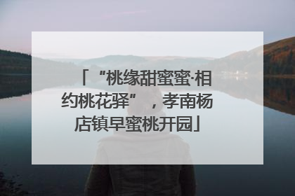 “桃缘甜蜜蜜·相约桃花驿”，孝南杨店镇早蜜桃开园