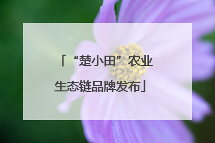 “楚小田”农业生态链品牌发布