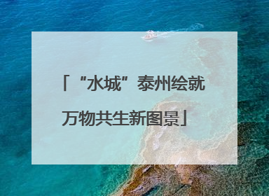 “水城”泰州绘就万物共生新图景