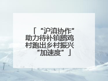 “沪滇协作”助力待补镇鹧鸡村跑出乡村振兴“加速度”
