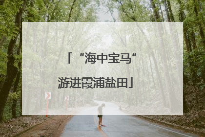 “海中宝马”游进霞浦盐田