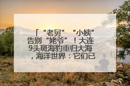 “老舅”“小姨”告别“姥爷”！大连9头斑海豹重归大海，海洋世界：它们已具备野外生存能力