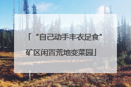 “自己动手丰衣足食”矿区闲置荒地变菜园